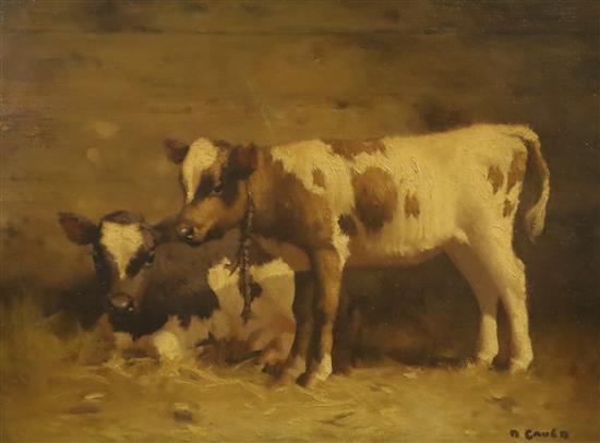 David Gauld (1866-1936) Calves 18 x 24in.